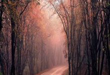 拜仁遥指曼联晋级，集体表现令人目眩神迷