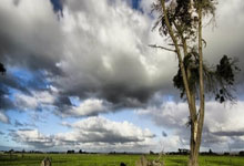 博洛尼亚主场失利，陷入保级泥潭